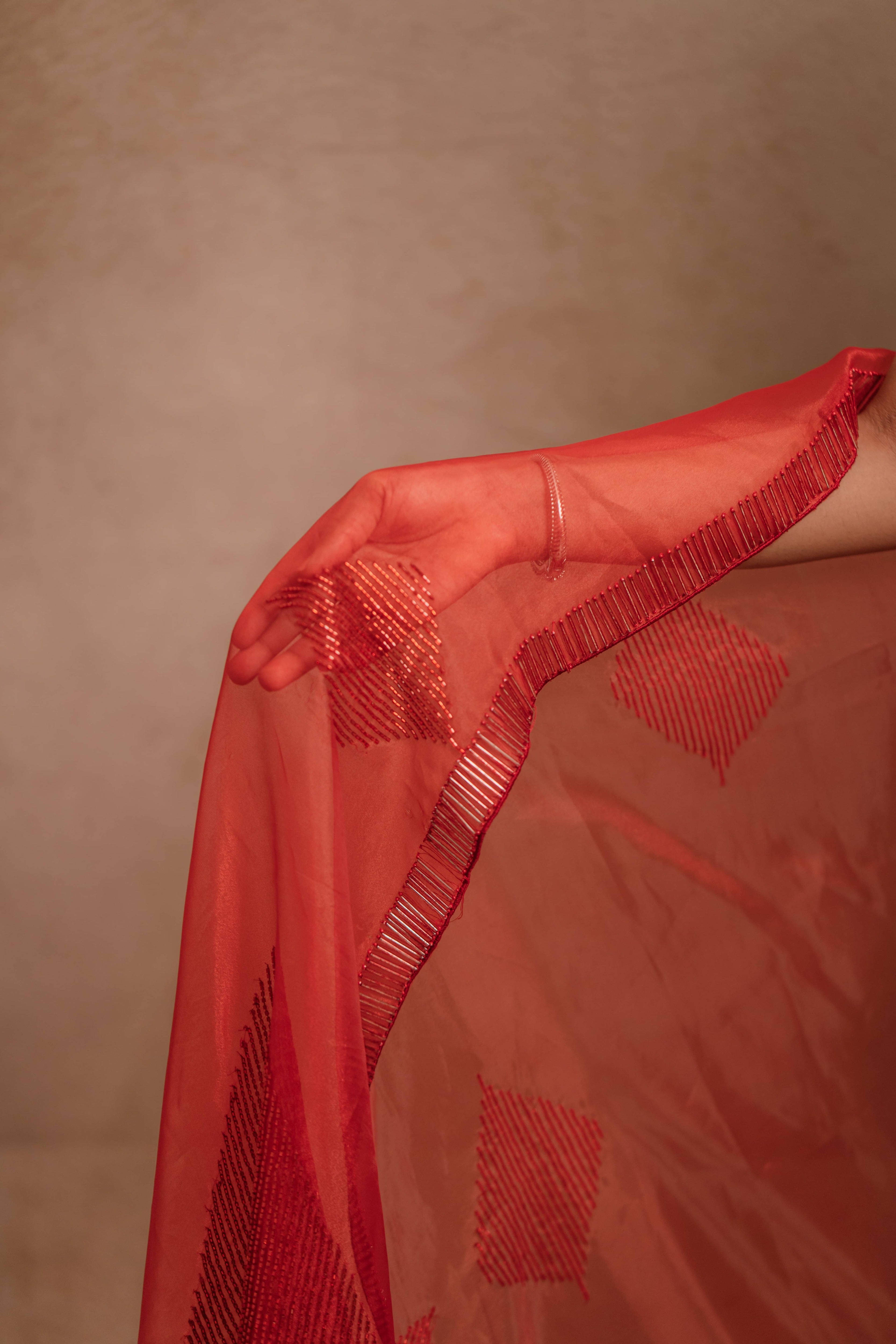 posing for pallu design in a red-orange organza saree intricately handcrafted with cutdana lines, designed by team Archana Karthick.